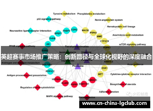 英超赛事市场推广策略：创新路径与全球化视野的深度融合